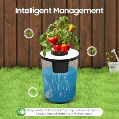 Sistema Hidropónico de 5 Galones, Cultivo en Agua Profunda de 7 Cubetas con Goteo Recirculante para Jardinería Interior en Balcón, RDWC 1+6 + Top Fee